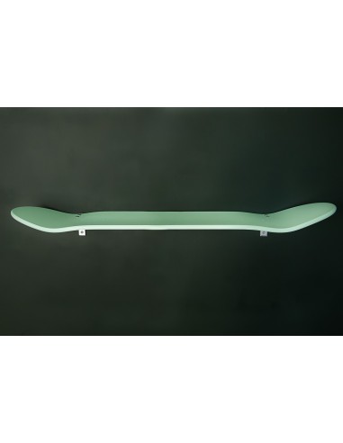 Etagères skate board vert d' eau