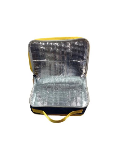 Lunch box vintage leçons de choses