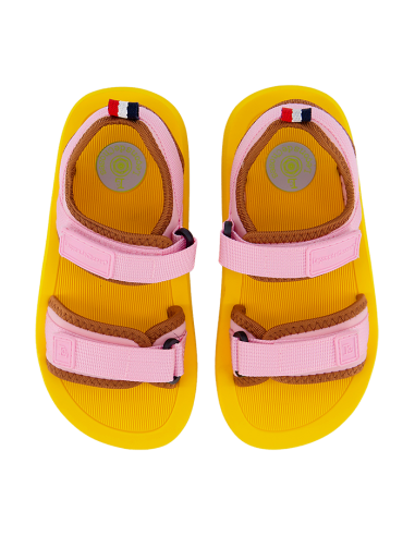 meduse bonton enfant leçons de choses