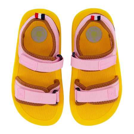 meduse bonton enfant leçons de choses