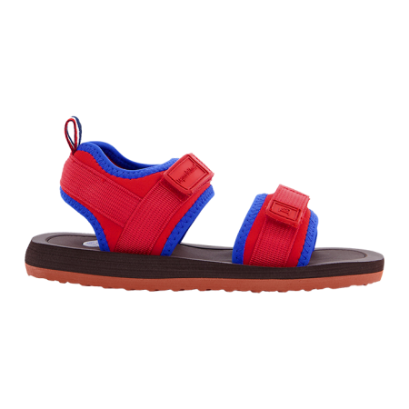 meduse bonton enfant leçons de choses