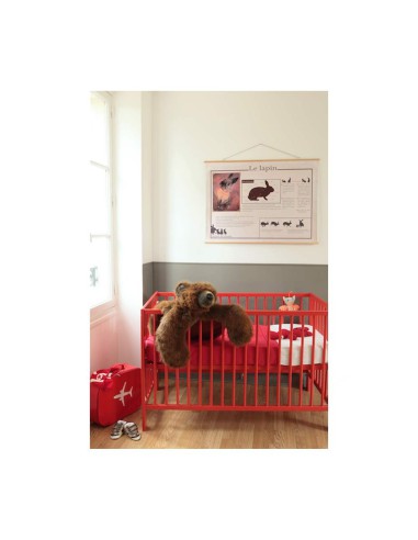 Poster Avion vintage Leçons de choses