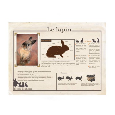 Poster Avion vintage Leçons de choses