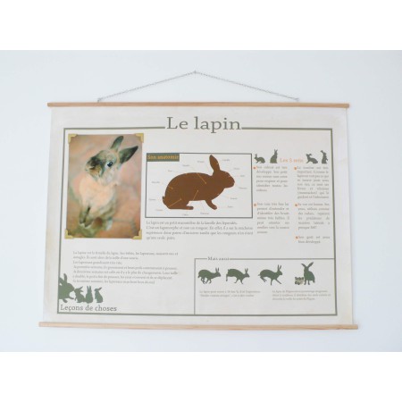 Poster Avion vintage Leçons de choses