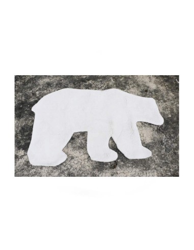TAPIS OURS BLANC  Leçons de choses